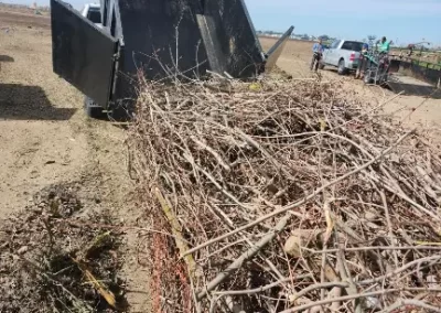 Affordable Junk Removal in Fresno CA